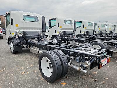 2024 Chevrolet LCF 4500HG Regular Cab RWD Cab Chassis for sale #206417 - photo 2