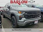 2025 Chevrolet Silverado 1500 Crew Cab 4WD Pickup for sale #259674 - photo 1
