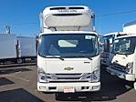2024 Chevrolet LCF 5500XD Regular Cab RWD Refrigerated Body for sale #304519 - photo 2
