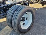 2024 Chevrolet LCF 5500XD Regular Cab RWD Cab Chassis for sale #304538 - photo 4
