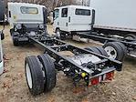 2024 Chevrolet LCF 5500XD Regular Cab RWD Cab Chassis for sale #305510 - photo 2
