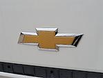 2024 Chevrolet LCF 5500XD Regular Cab RWD Cab Chassis for sale #305510 - photo 4