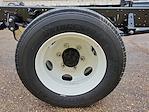 2024 Chevrolet LCF 5500XD Regular Cab RWD Cab Chassis for sale #305647 - photo 3