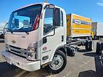 2024 Chevrolet LCF 5500XD Regular Cab 4x2, Cab Chassis for sale #305696 - photo 3