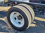 2024 Chevrolet LCF 5500XD Regular Cab RWD Cab Chassis for sale #306054 - photo 4