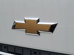 2024 Chevrolet LCF 5500XD Regular Cab RWD Cab Chassis for sale #306679 - photo 4