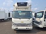 New 2024 Chevrolet LCF 5500XD Regular Cab Cab Chassis for sale #306679 - photo 6