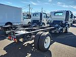 2024 Chevrolet LCF 5500XD Regular Cab RWD Cab Chassis for sale #307834 - photo 2