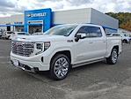 2025 GMC Sierra 1500 Crew Cab 4WD Pickup for sale #845U - photo 4