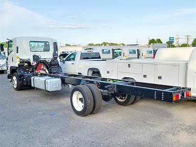 New 2025 Chevrolet LCF 6500XD Regular Cab Cab Chassis for sale #A00512 - photo 2