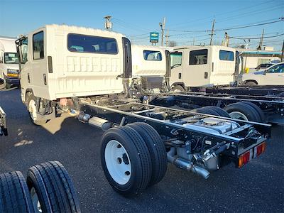 2024 Isuzu NPR-HD Crew Cab 4x2 Cab Chassis for sale #208906 - photo 2