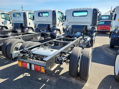 2024 Isuzu NRR Regular Cab 4x2 Cab Chassis for sale #304464 - photo 2