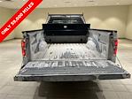 2010 Ford F-150 Regular Cab 4x2 Pickup for sale #54203 - photo 19