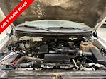 2010 Ford F-150 Regular Cab 4x2 Pickup for sale #54203 - photo 22