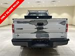 2010 Ford F-150 Regular Cab 4x2 Pickup for sale #54203 - photo 4