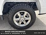 2024 Ford F-150 SuperCrew Cab 4x4 Pickup for sale #B3862 - photo 14