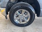 2024 Ford F-150 SuperCrew Cab 4WD Pickup for sale #D5433 - photo 30