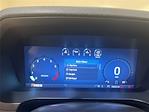 2024 Ford F-150 SuperCrew Cab 4x4 Pickup for sale #F28312 - photo 3