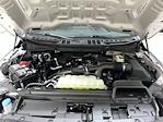 2025 Ford F-150 SuperCrew Cab 4x2 Pickup for sale #F29105 - photo 25