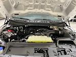 2025 Ford F-150 SuperCrew Cab 4x4 Pickup for sale #F29357 - photo 24