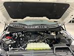 2025 Ford F-150 SuperCrew Cab 4x4 Pickup for sale #F29368 - photo 28