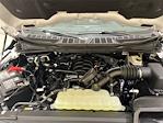 2025 Ford F-150 SuperCrew Cab 4x4 Pickup for sale #F29407 - photo 29