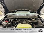 2025 Ford F-150 SuperCrew Cab 4x4 Pickup for sale #F29428 - photo 28