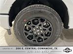 2025 Ford F-150 SuperCrew Cab 4x4 Pickup for sale #F29436 - photo 29
