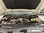 2025 Ford F-350 Crew Cab SRW 4x4 Pickup for sale #F29440 - photo 30