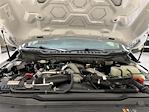 2025 Ford F-250 Crew Cab 4WD Pickup for sale #F29507 - photo 24