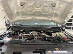 New 2025 Ford F-250 XL Crew Cab for sale #F29539 - photo 24
