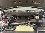 2025 Ford F-150 SuperCrew Cab 4x4 Pickup for sale #F29595 - photo 29
