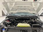 2025 Ford F-150 Super Cab 4WD Pickup for sale #F29600 - photo 24