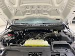 2025 Ford F-150 Super Cab 4WD Pickup for sale #F29614 - photo 24
