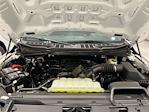 2025 Ford F-150 SuperCrew Cab 4WD Pickup for sale #F29627 - photo 24