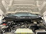 New 2025 Ford F-150 STX SuperCrew Cab for sale #F29635 - photo 24