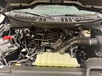 2025 Ford F-150 SuperCrew Cab 4x2 Pickup for sale #F29639 - photo 28