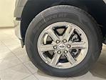 2025 Ford F-150 SuperCrew Cab 4x2 Pickup for sale #F29639 - photo 31
