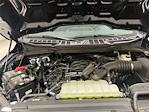 2025 Ford F-150 Regular Cab 4x2 Pickup for sale #F29728 - photo 23