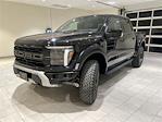 2025 Ford F-150 SuperCrew Cab 4x4 Pickup for sale #F29810 - photo 1