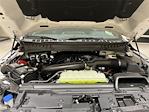 2025 Ford F-150 SuperCrew Cab 4WD Pickup for sale #F29883 - photo 27