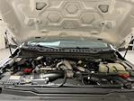 2025 Ford F-350 Crew Cab DRW 4WD Pickup for sale #F29897 - photo 24