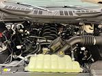 2025 Ford F-150 SuperCrew Cab 4WD Pickup for sale #F29990 - photo 29