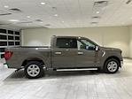 2025 Ford F-150 SuperCrew Cab RWD Pickup for sale #F30134 - photo 6
