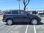 Used 2009 Honda CR-V EX-L SUV for sale #9L035449 - photo 5