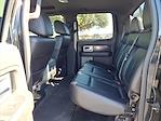 2011 Ford F-150 SuperCrew Cab 4WD Pickup for sale #BFD29148 - photo 14