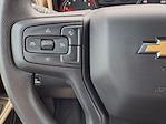 2025 Chevrolet Silverado 1500 Crew Cab 4x2 Pickup for sale #G110473A - photo 19