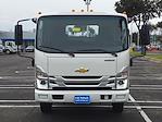 2024 Chevrolet LCF 4500HG Regular Cab 4x2 Cab Chassis for sale #RS220706 - photo 3