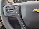 2025 Chevrolet Silverado 2500 Double Cab 4x2 Pickup for sale #SF191542 - photo 18