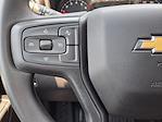 2025 Chevrolet Silverado 1500 Regular Cab 4x2 Pickup for sale #SG296552 - photo 15